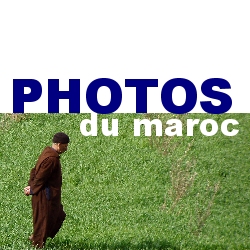 small product photo